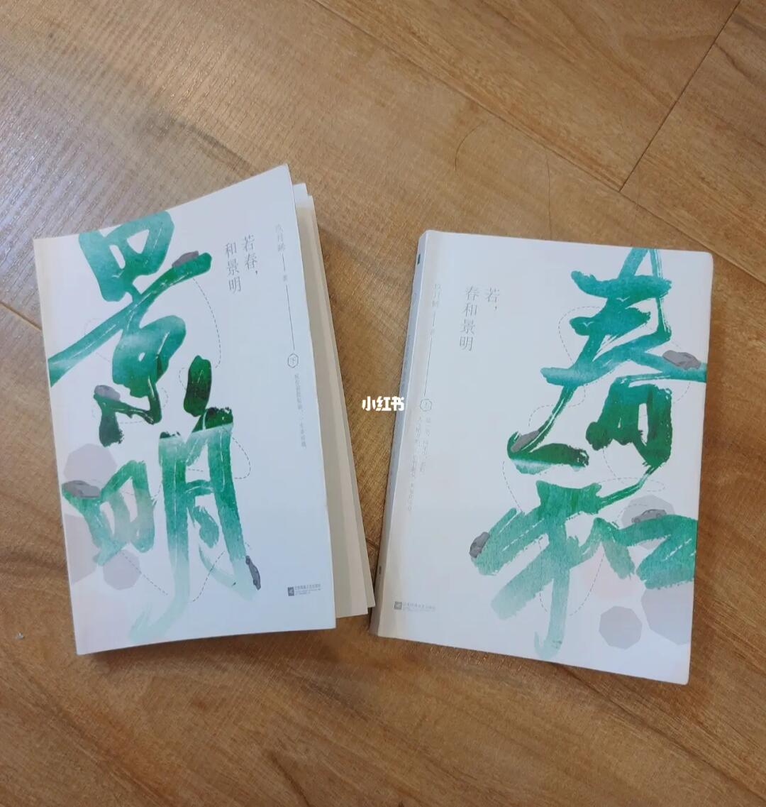 若春和景明，探索生命的美好与希望最新章节