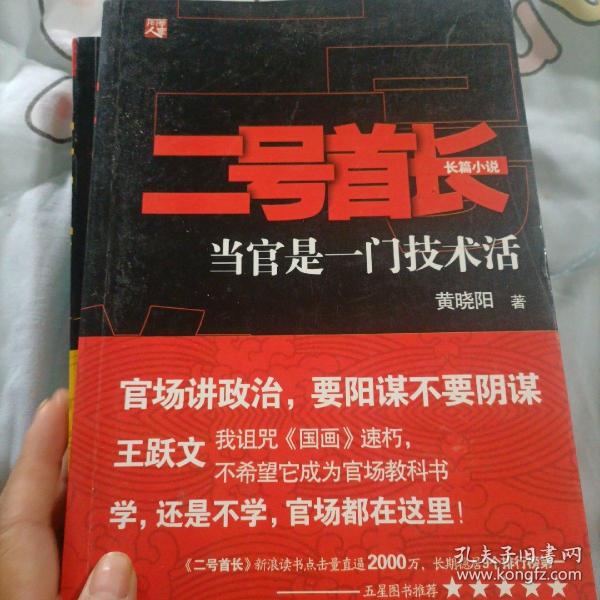 三宝局长揭秘真相与正义的征程最新章节速递